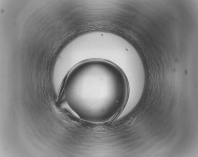 X0000052650546200507221844