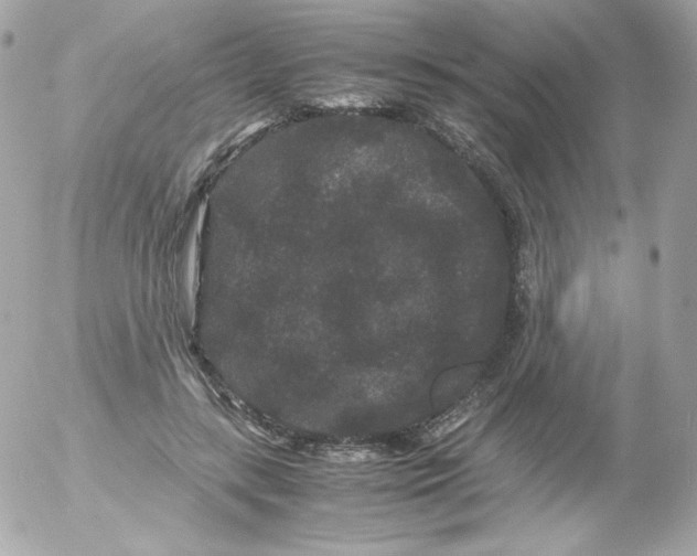 X0000052650547200507221844