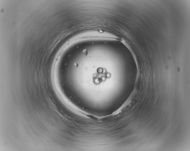 X0000052650548200507221844