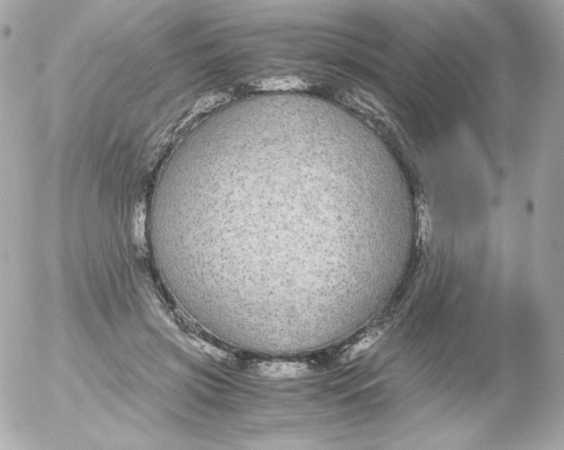 X0000052650549200507221844