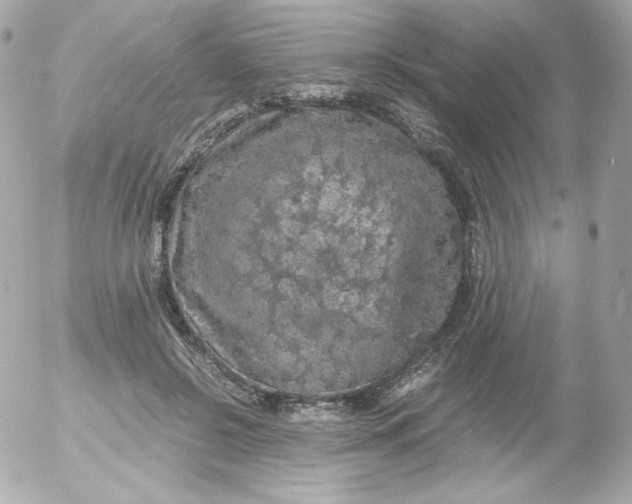 X0000052650550200507221844