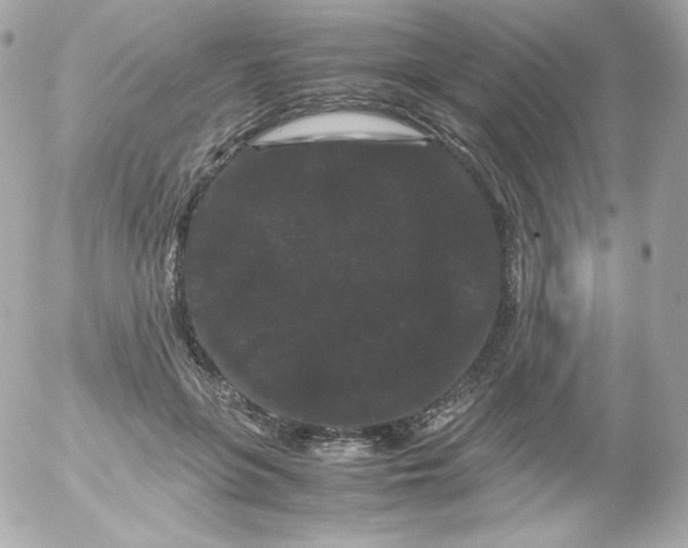 X0000052650551200507221844