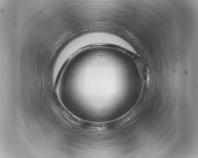 X0000052650552200507221844