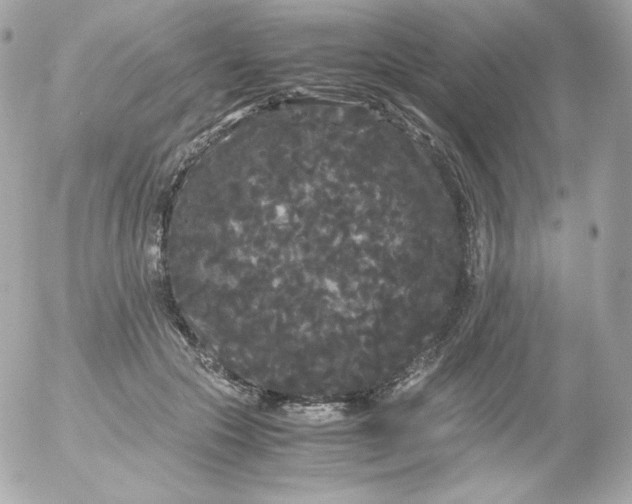 X0000052650553200507221844