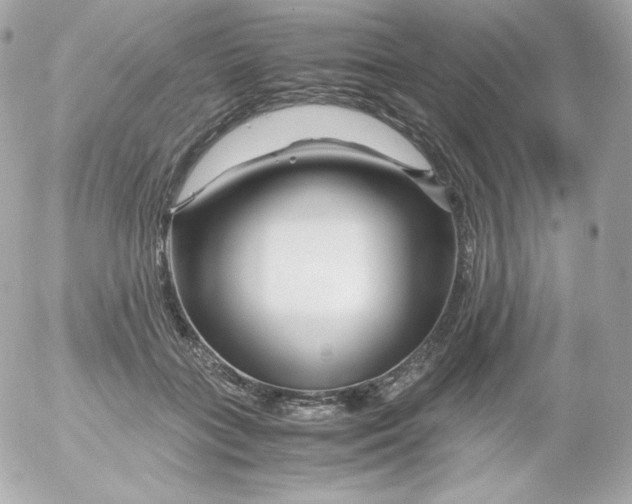 X0000052650555200507221844