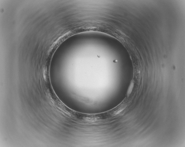 X0000052650556200507221844