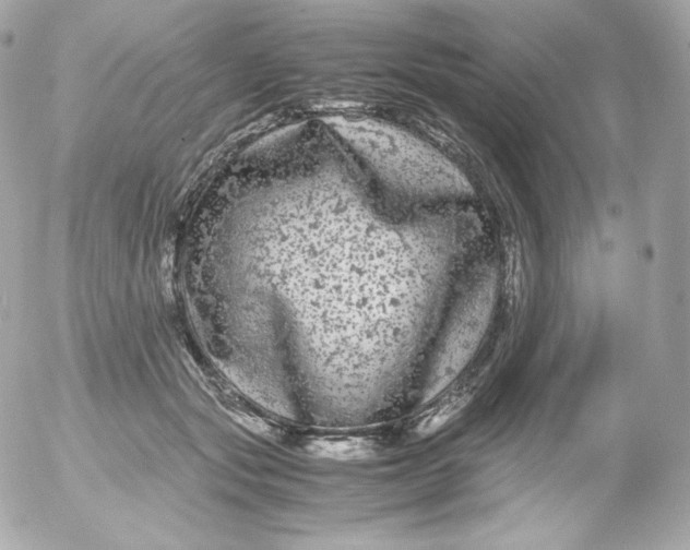 X0000052650557200507221844