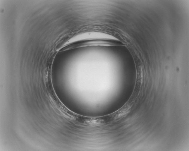 X0000052650558200507221844