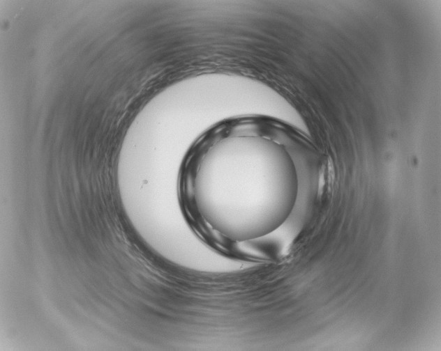 X0000052650559200507221844