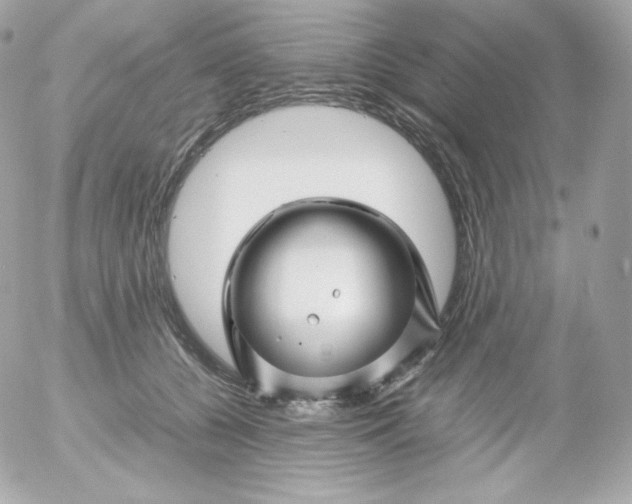 X0000052650560200507221844