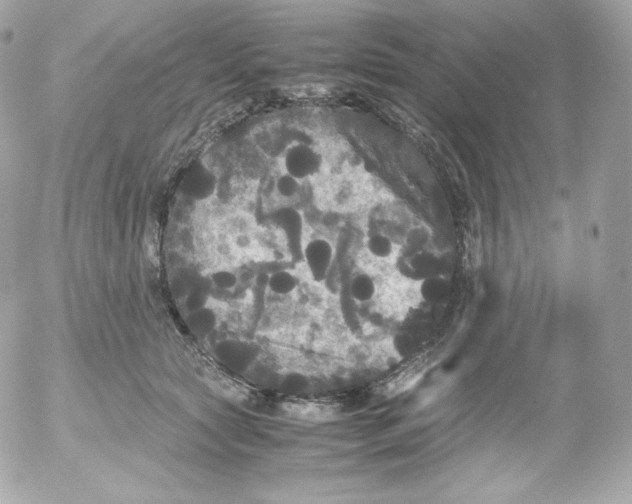 X0000052650561200507221844