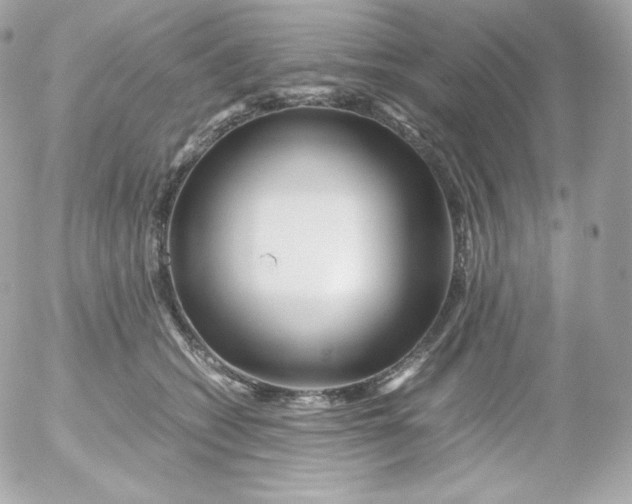 X0000052650562200507221844