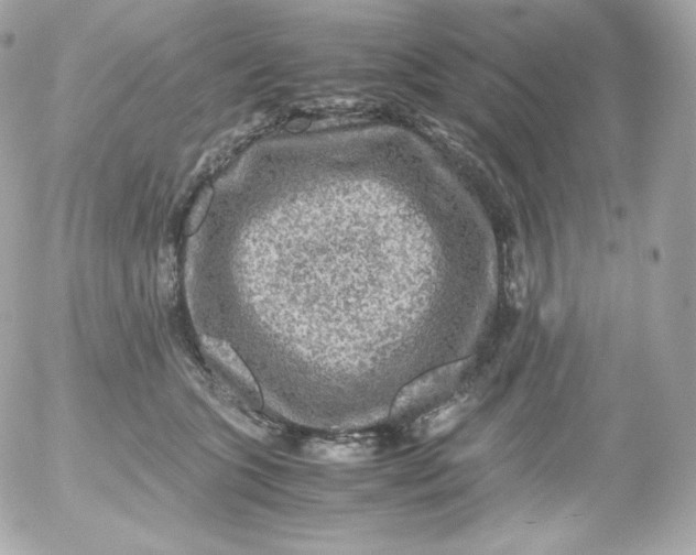 X0000052650563200507221844