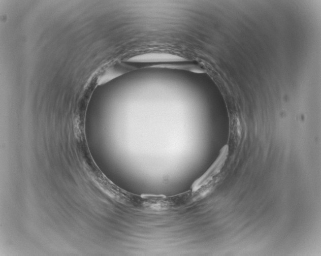 X0000052650564200507221844