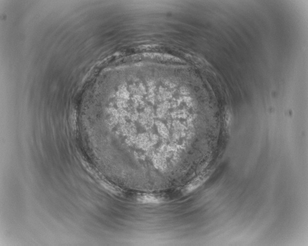 X0000052650565200507221844