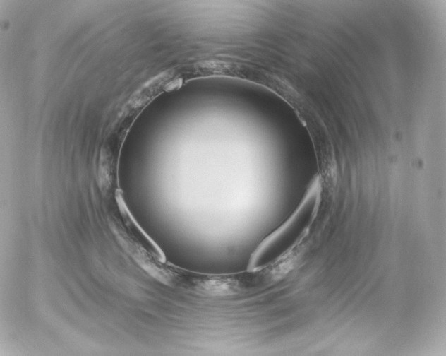 X0000052650566200507221844