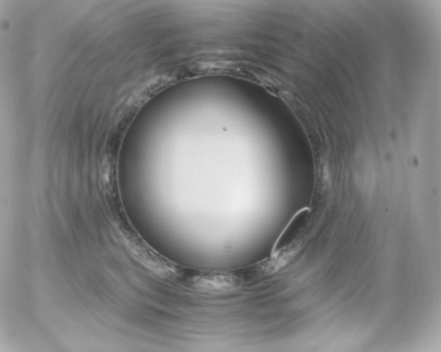 X0000052650567200507221844