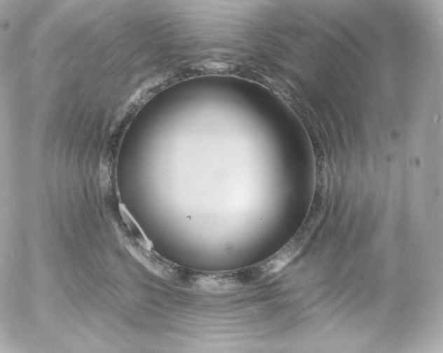 X0000052650568200507221844