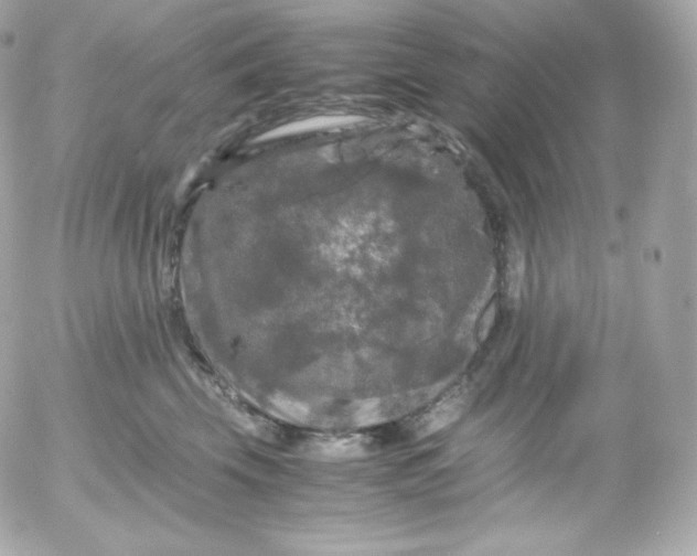 X0000052650569200507221844