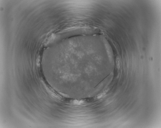 X0000052650570200507221844