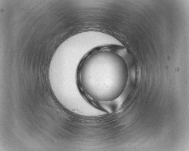 X0000052650571200507221844