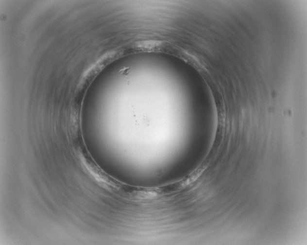 X0000052650572200507221844