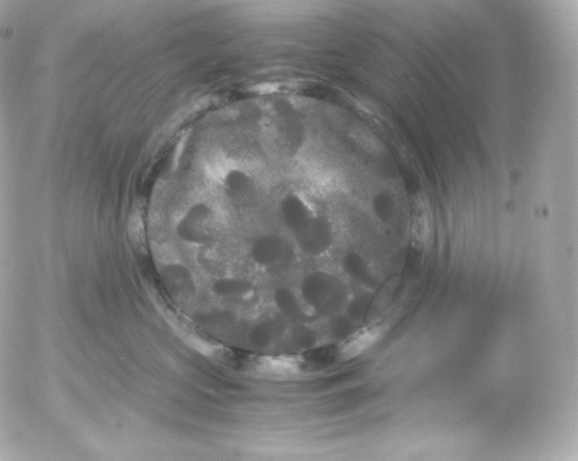 X0000052650573200507221844