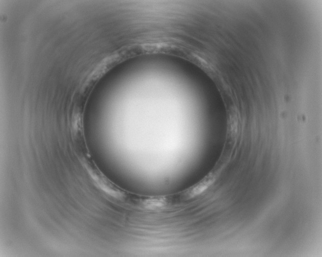 X0000052650574200507221844