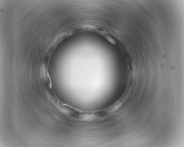 X0000052650575200507221844