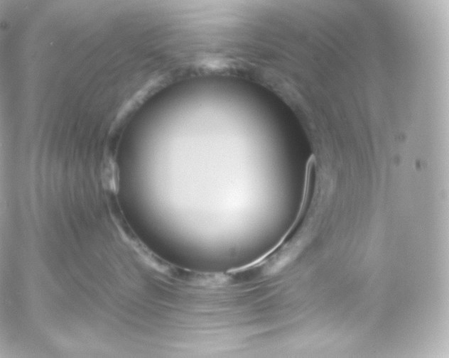 X0000052650576200507221844