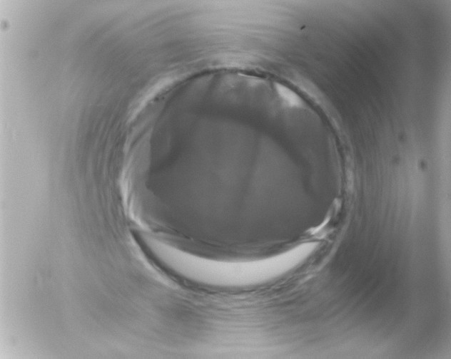 X0000052650577200507221844