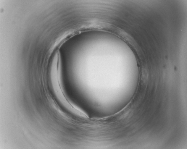 X0000052650578200507221844