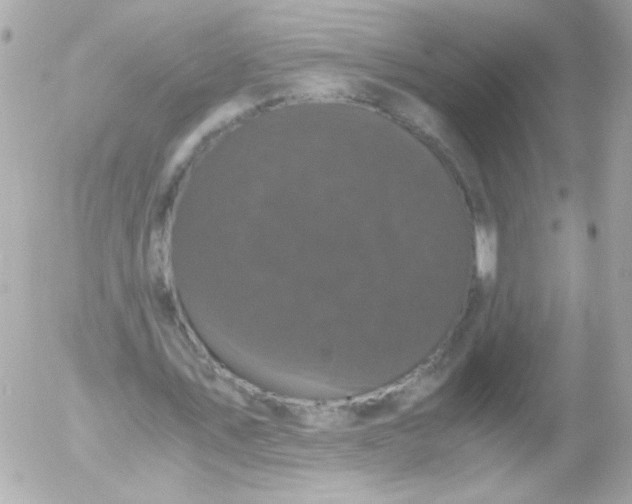 X0000052650579200507221844