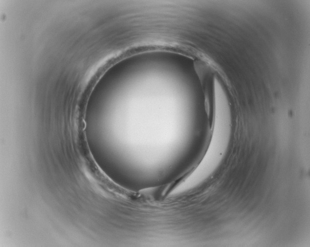 X0000052650580200507221844