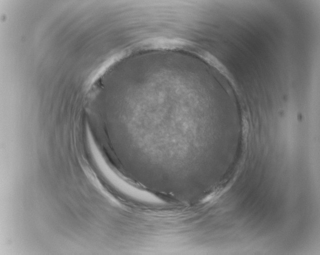 X0000052650581200507221844