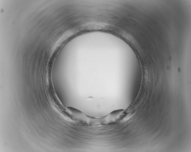 X0000052650582200507221844