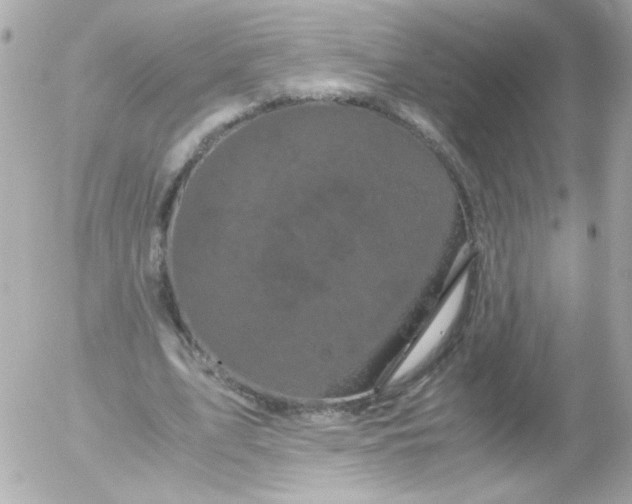 X0000052650583200507221844