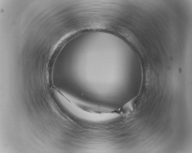 X0000052650584200507221844