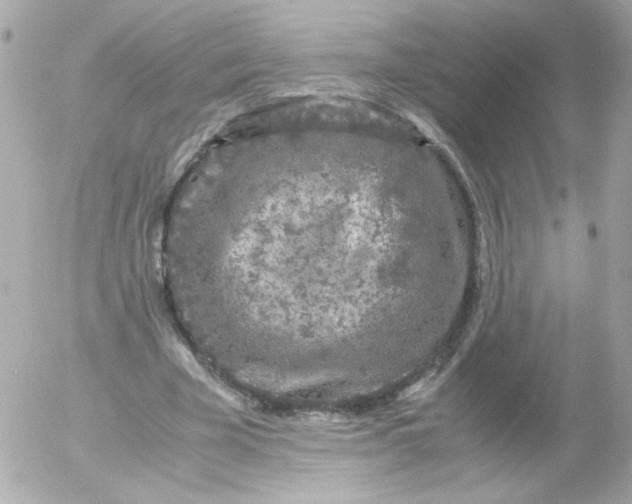 X0000052650585200507221844