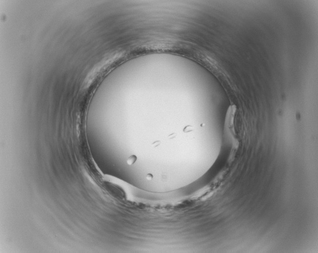 X0000052650586200507221844