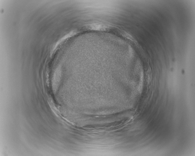 X0000052650587200507221844