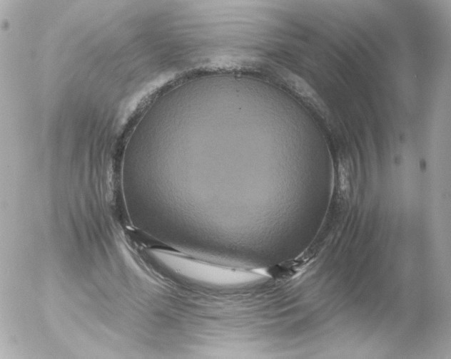 X0000052650588200507221844