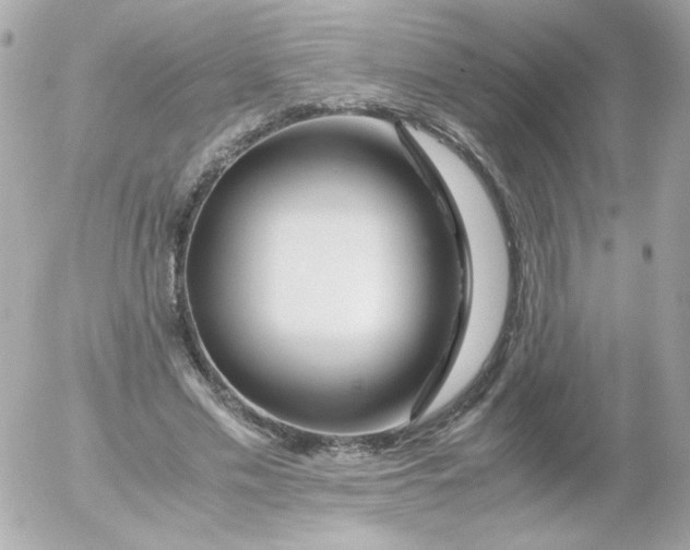 X0000052650589200507221844