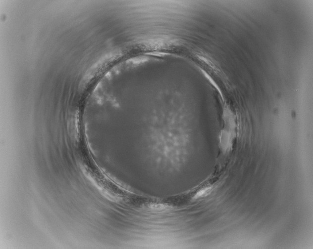 X0000052650590200507221843