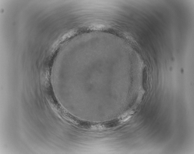 X0000052650591200507221843