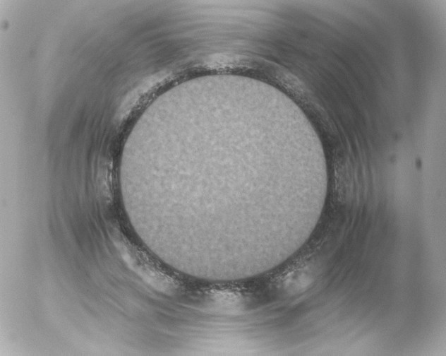 X0000052650592200507221843