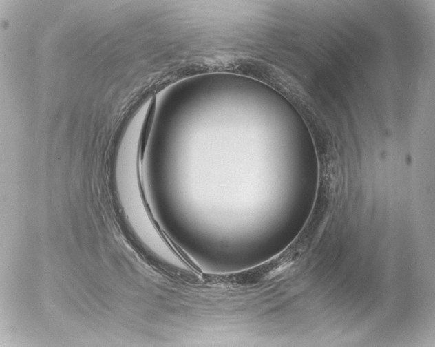 X0000052650593200507221843