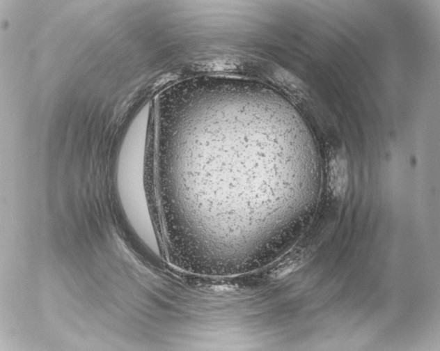 X0000052650594200507221843