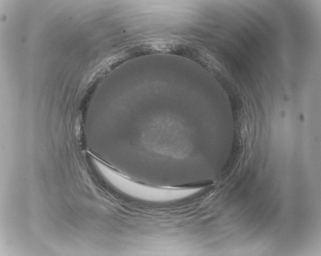 X0000052650595200507221843