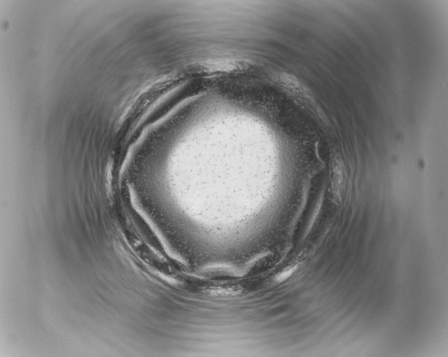 X0000052650596200507221843